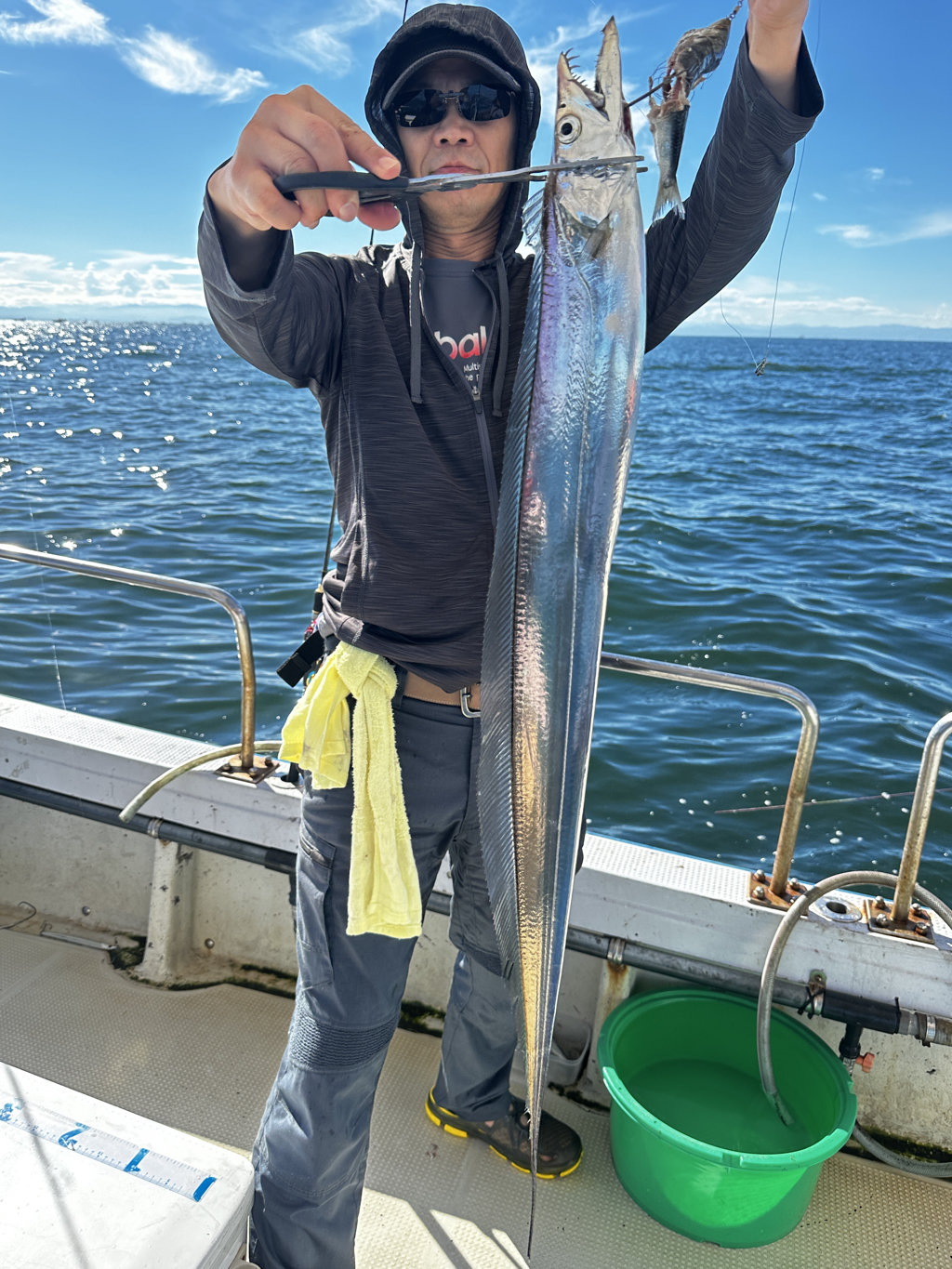 骨董　魚市場の競り札　レア　襤褸　ボロ　魚籠　魚釣　貴重　明治　大正 9月20日 志村東錦 ➆ 2歳 12センチ 志村養魚場産