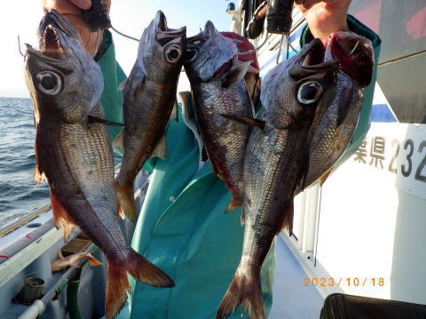 satoshimaru様 最新の釣果 聡丸