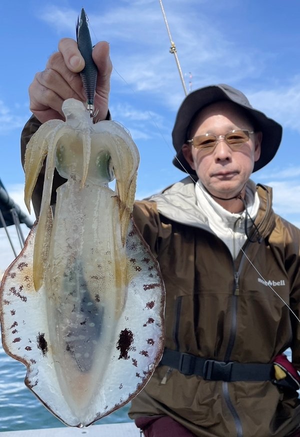 アオリイカの釣果｜2024年11月10日｜リタックル（兵庫県/明石港）｜＠ベリー釣船予約