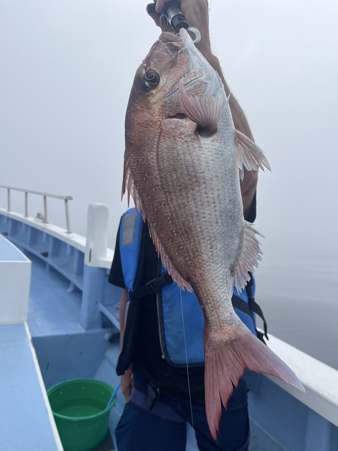 マダイの釣果｜2025年7月7日｜幸栄丸（茨城県/鹿嶋旧港