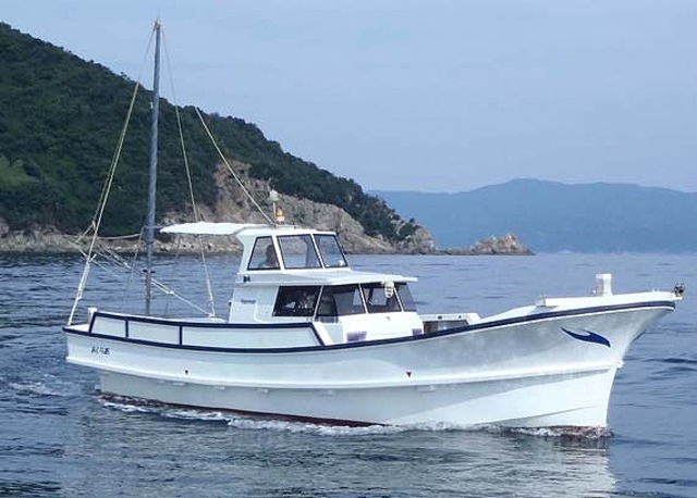 近場のアジ釣り!プラン