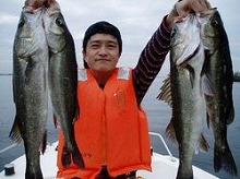 ☆昼便☆名古屋港4時間レギュラープラン