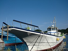 ◇土日祝:1日◇走水沖のアジ釣りプラン