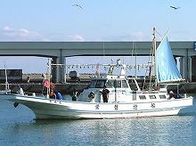 ★(土日祝)濃厚な甘みがおいしいヤリイカ釣りプラン★