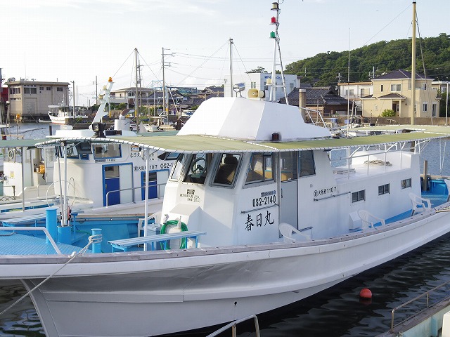 【遅出便8:00〜14:00】五目釣りプラン