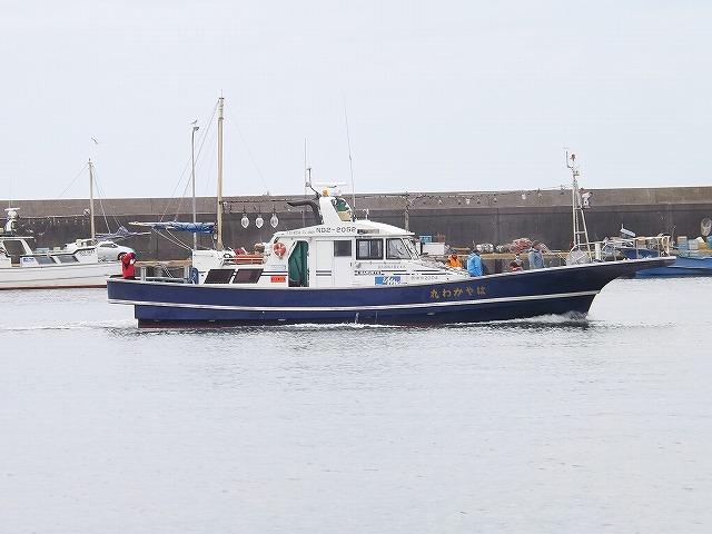 親子プラン有●午後●近海根魚五目釣りプラン
