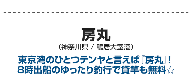 シンプルな仕掛けで誰もがハマってしまう ひとつテンヤ特集 海釣り 釣り船予約サイト ベリー釣船予約