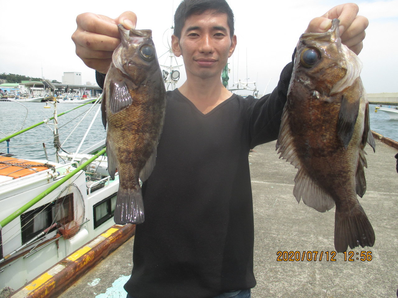 メバルの釣果 年7月12日 健清丸 茨城県 大洗港 ベリー釣船予約