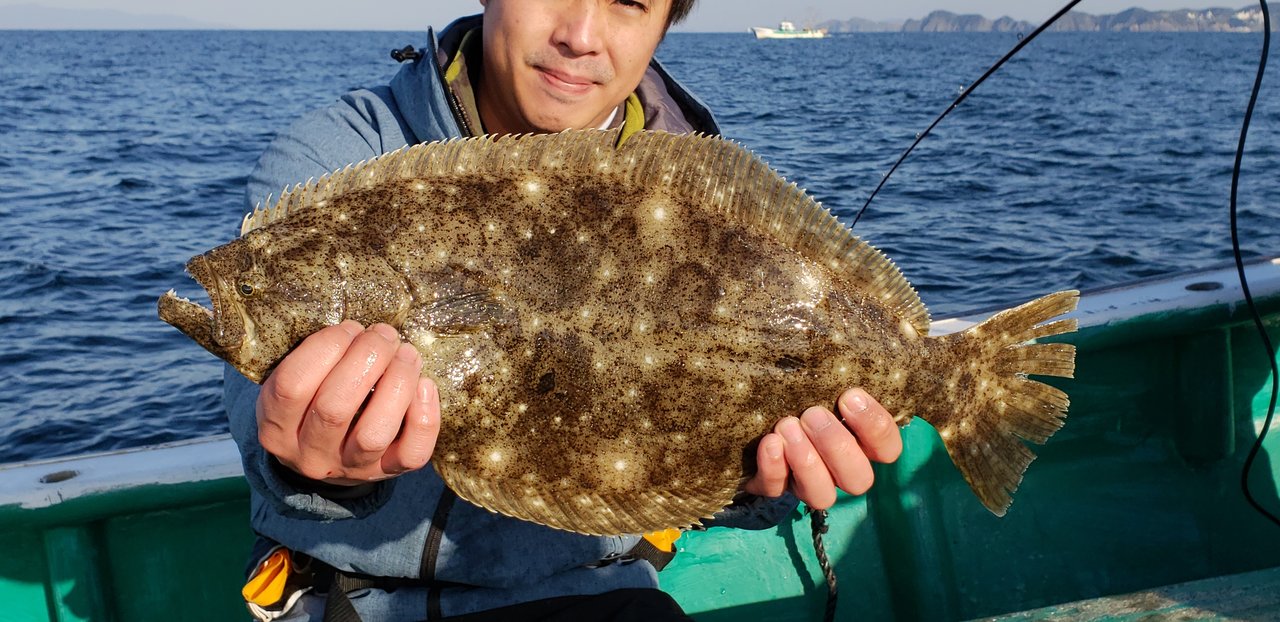 ヒラメの釣果 年12月27日 大南荘勝丸 和歌山県 栖原港 ベリー釣船予約