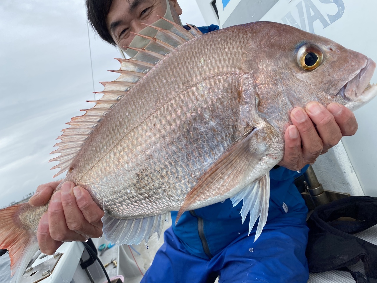 マダイの釣果 21年4月4日 海渡丸 静岡県 田子の浦漁港 ベリー釣船予約