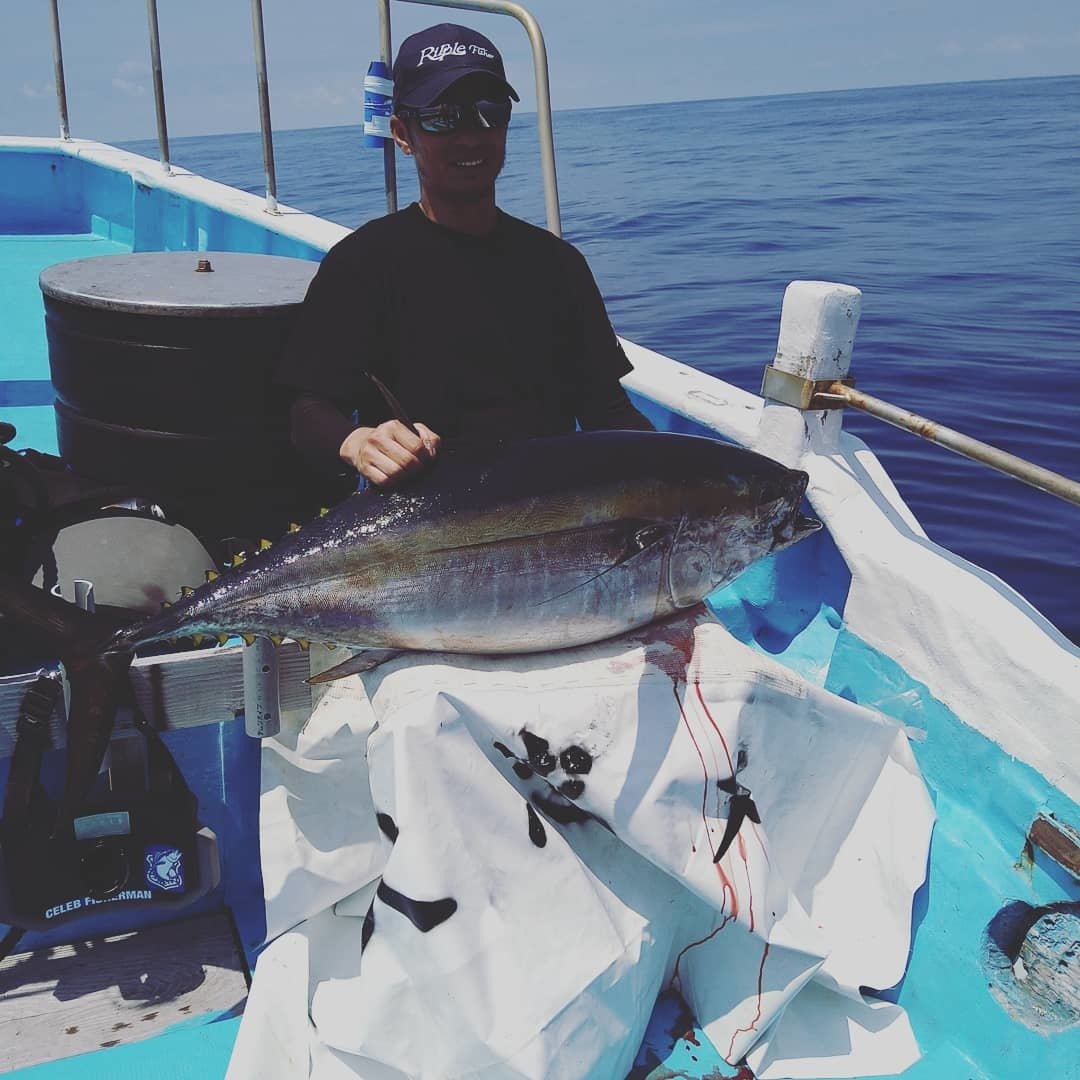 カツオの釣果 21年6月15日 大忠丸 三重県 和具漁港 ベリー釣船予約 カツオの釣果 21年6月15日 大忠丸 三重県 和具漁港 ベリー釣船予約