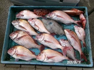 釣果写真