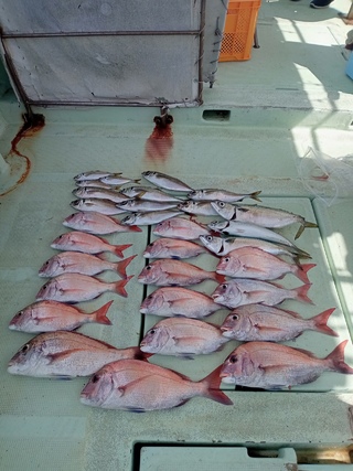 釣果写真