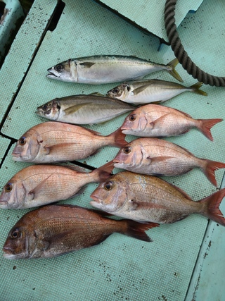 釣果写真