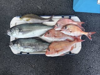 釣果写真