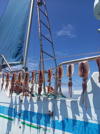 釣果写真