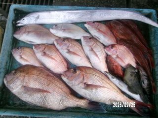 釣果写真