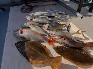 釣果写真