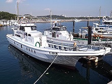 �ڥ��硼��LT������GW4��29����5��6�����ꡪ�˽����ƻҥڥ��ʤ����ͤ�������ʲ��ˤ�10,000��/�ڥ�������硼��LT�����ץ��