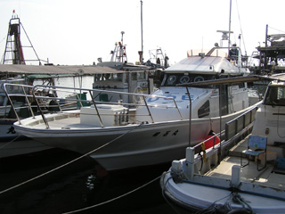 ��ʿ����ޥ�������ץ��