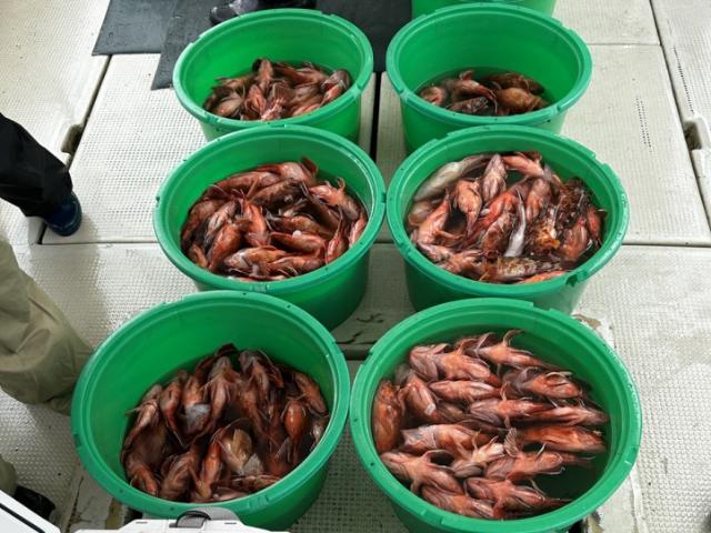 ��Х롦�����顦�ޥ����������륵�ӥ��������ڥץ���