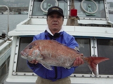 ★近海落とし込み★釣りプラン
