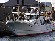 �����������ޥ������饢�ޥ����Υ�졼���ץ��