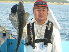 ○午後○高級魚☆テンヤで狙うマゴチ釣りプラン