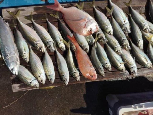 ��ʿ���۶����������ץ�������˾�Υ������åȡ����֤ǽ�����5��10̾�ͤǾ����Ǥ��ޤ������Ϳ��Ϥ����̤���������