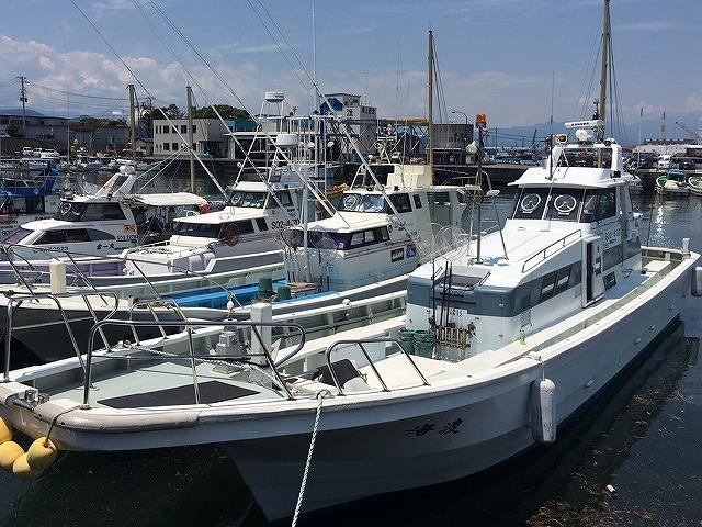 沖のヤリイカ貸切釣りプラン☆場所によって料金が変動します☆