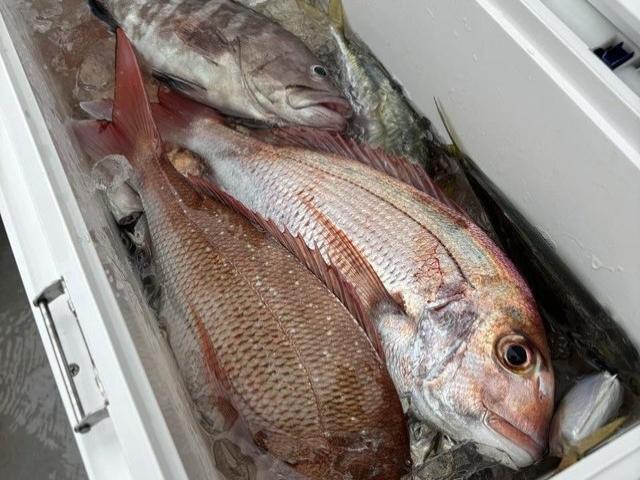 �������ء��ޥ����������ץ��