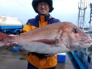 マダコ釣りプラン