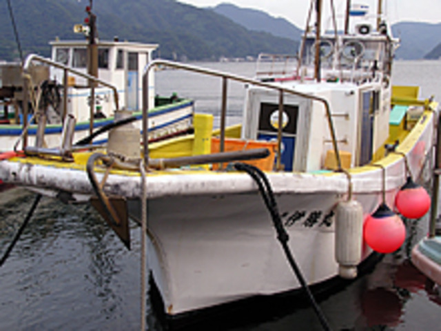 ◇平日◇コマセ五目釣りプラン