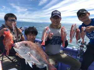 ��ʿ���ֻ��и���������ߥ��ߤ�2,000�߰������濼������Ķ�ò��ɥץ��