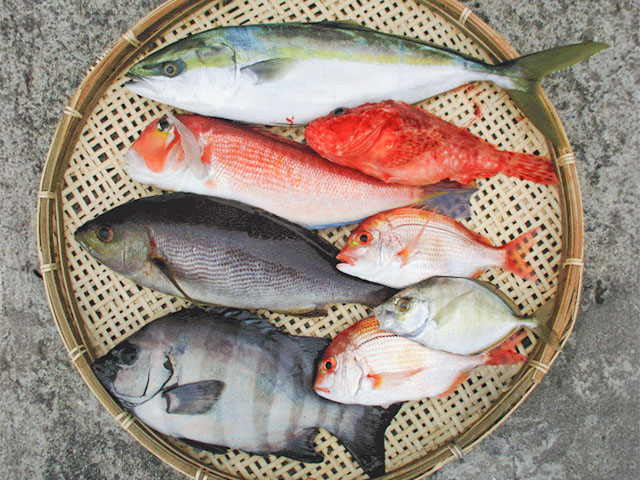 ��ʿ�������ޥ������ץ��