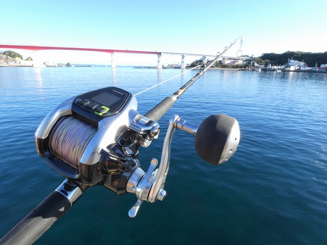 〇土日祝〇マルイカ釣りプラン