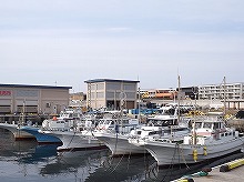 【ルアー】カツオ・キハダ釣りプラン☆☆ルアーでの釣りは定員4名様まで☆☆