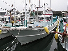 ����墡���������ץ��