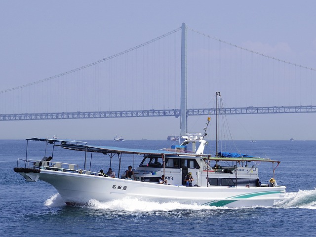 ��3/26��3/30�������ۥޥ����쥤���ץ����緿���ʤΤ��ɤ�˶����ư����¿��ǳڤ���ޤ���