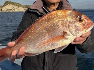 �������ˡեޥ�������饵�������ץ��