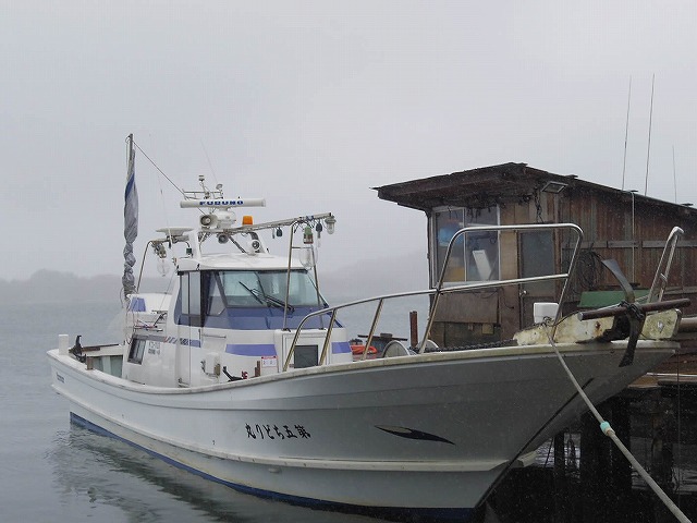 ����墡�������ץ��