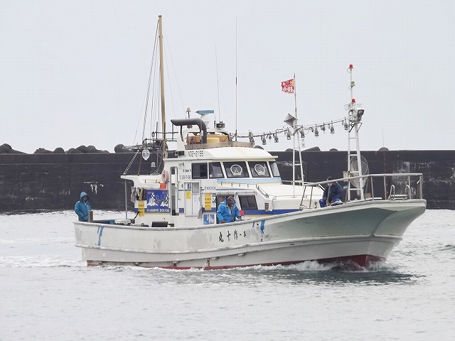 【平日】≪夜釣り≫アジ・イナダ釣りプラン