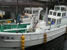 ☆☆お値打ち☆☆(午前)相模湾で一番安く貸切れる!五目釣りプラン