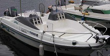 ★午前★☆湾外で大物狙え☆ジギングコースプラン