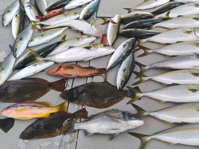 ◇午後便◇乗合プラン