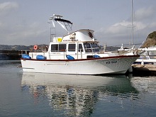 ��ȬȨ�����������������آ����ʪ���̲�ǽ�����ڥץ��