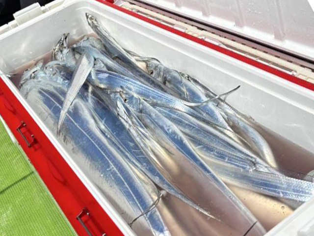 �����硼�ȡ���ŷ��������䥿���������ץ��