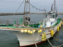 ���ȡ��괬�꡼���󥿥�̵�������������ץ��