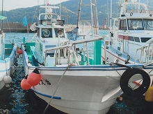 ◆午前◆アジ泳がせ釣りプラン