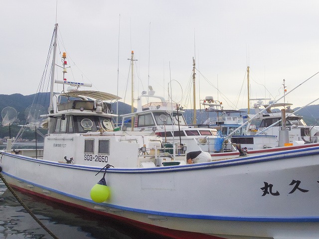 �������������ץ��